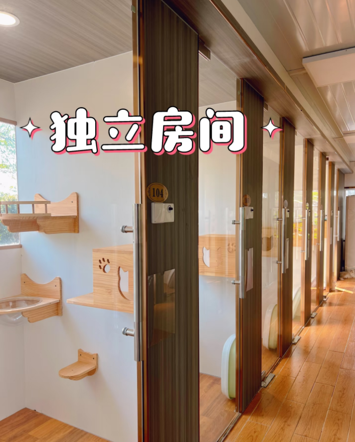 云浮宠物